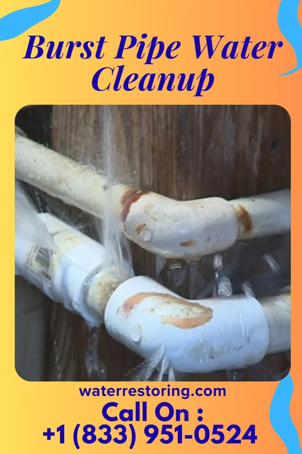 Burst Pipe Water Cleanup in Cape May Point, NJ