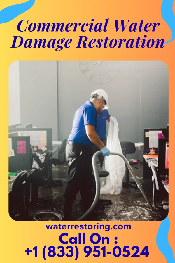 Commercial Water Damage Restoration in Cape May Point, NJ