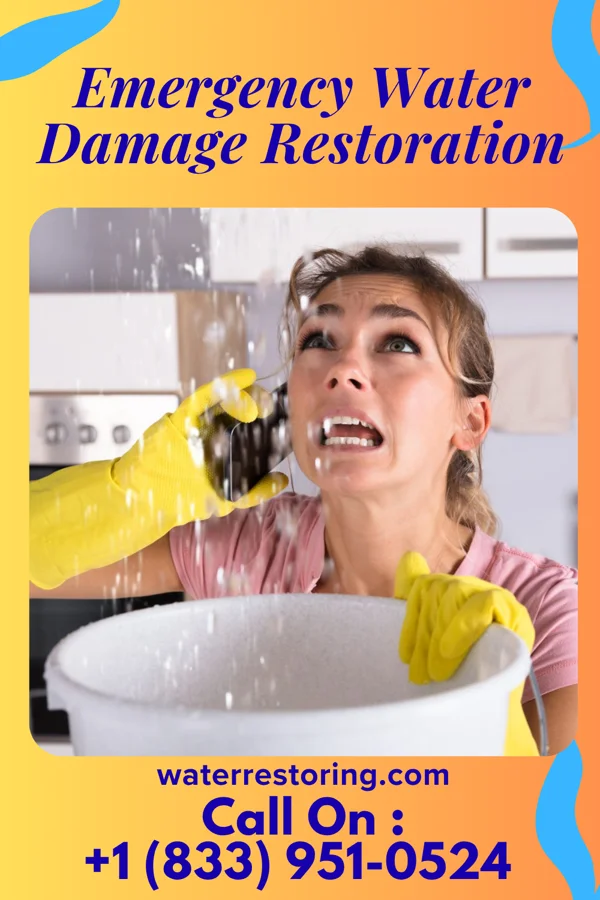 Emergency Water Damage Restoration in Cape May Point, NJ
