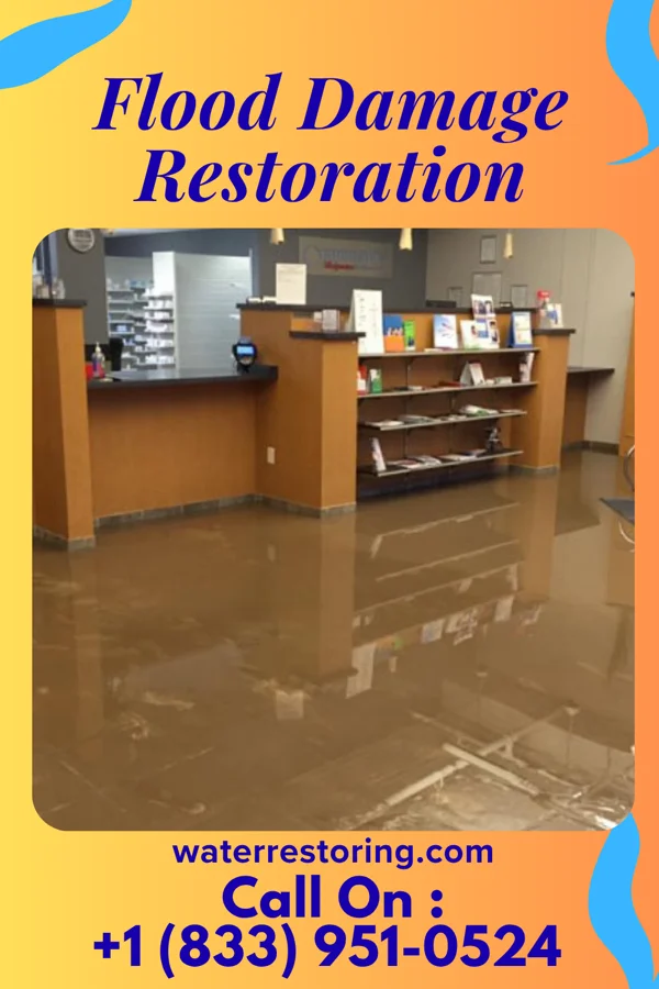 Flood Damage Restoration in Cape May Point, NJ