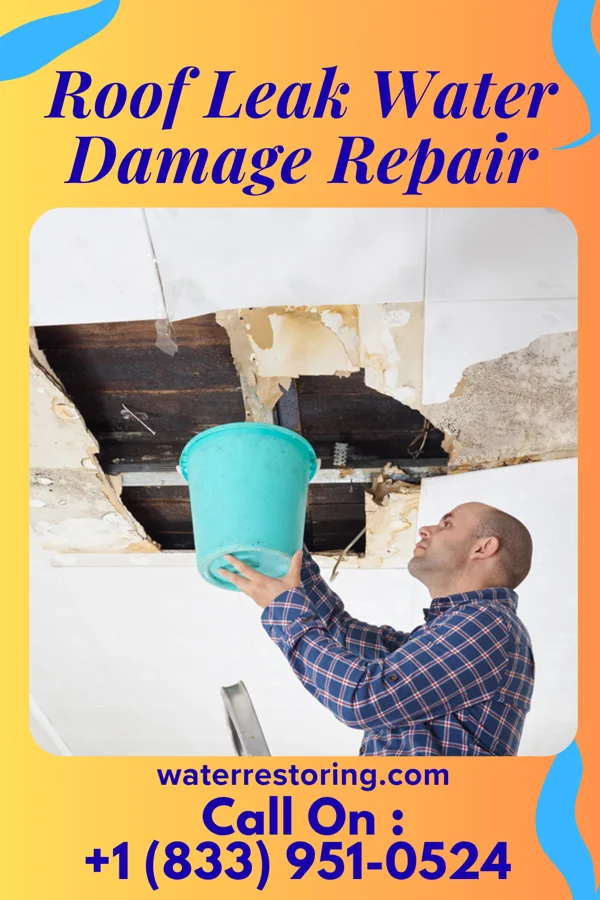Roof Leak Water Damage Repair in Cape May Point, NJ