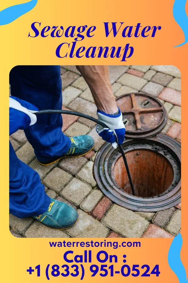 Sewage Water Cleanup in Cape May Point, NJ