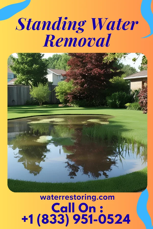 Standing Water Removal in Cape May Point, NJ